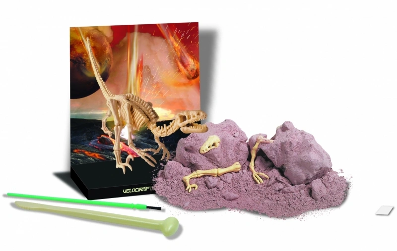Набор 4M Скелет Велоцираптора (00-13234). Фото 3