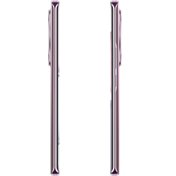 Смартфон Honor X9c 8/256Gb Titanium Purple (BRP-NX1). Фото 10