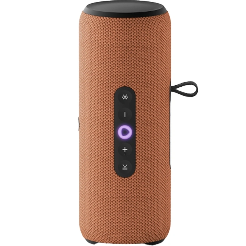 Умная колонка Яндекс Станция Стрит, Оранжевый YNDX-00030ORG. Фото 2