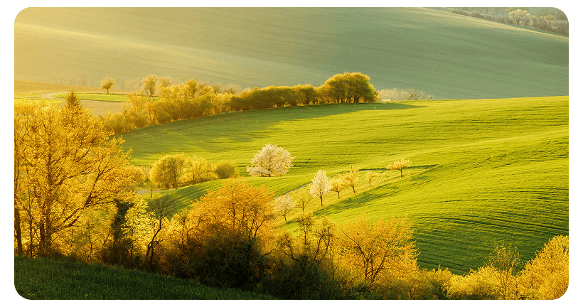 Honor-MagicBook-X14-2025-005