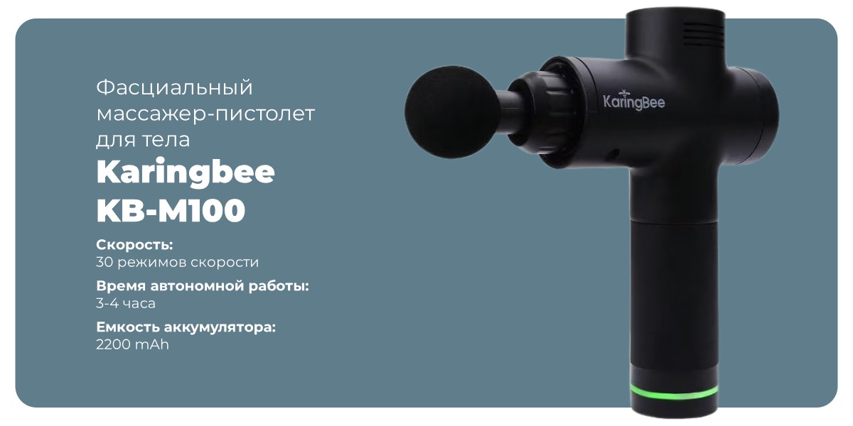 Karingbee-KB-M100-01