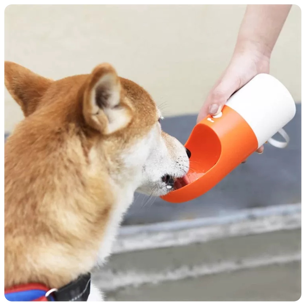 Moestar-Rocket-Pet-Multifunctional-Portable-Bottle-MS0010001-04
