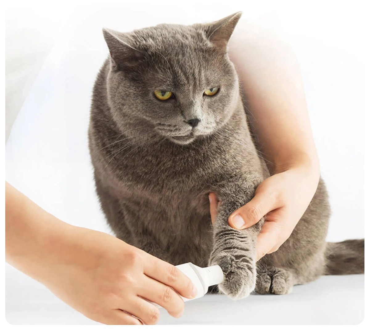 Pawbby-Pet-Electric-Nail-Sharpener-MG-NG001A-03