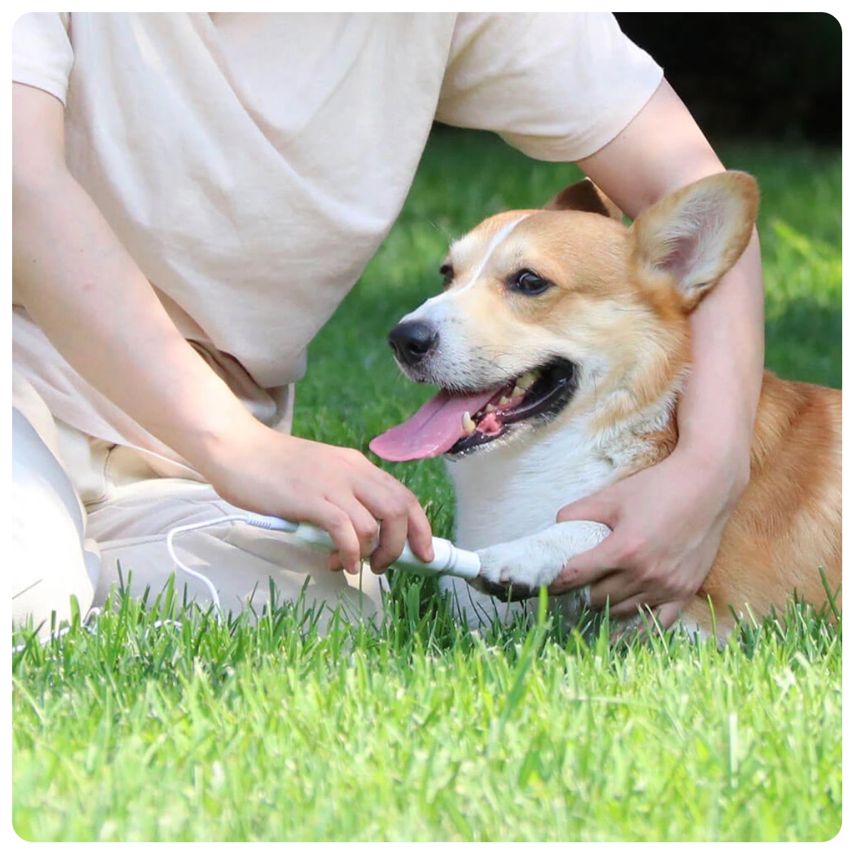 Pawbby-Pet-Electric-Nail-Sharpener-MG-NG001A-04