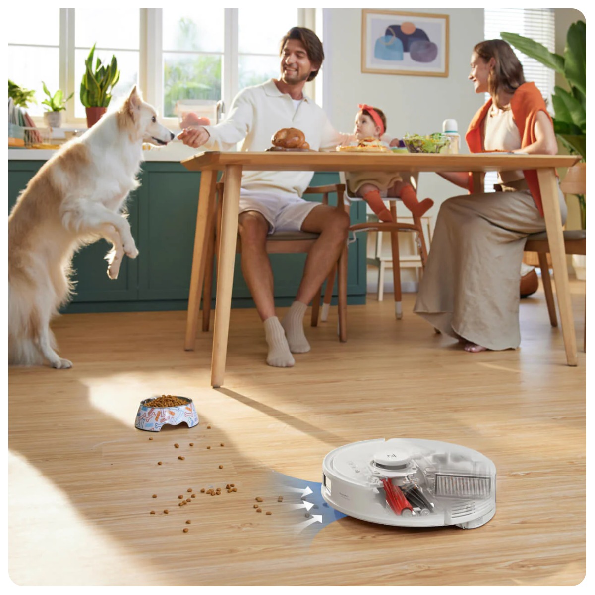 Roborock-Q8-Max-Plus-05